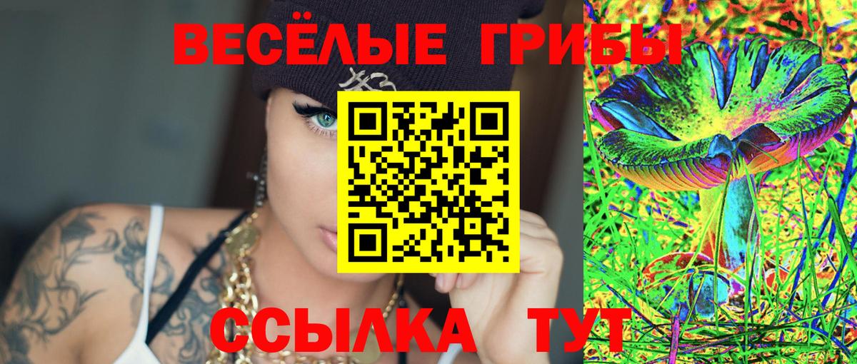 Севастополь  Псилоцибиновые грибы мицелий  Вход с VPN  где купить наркоту  Псилоцибиновые грибы прущие грибы 