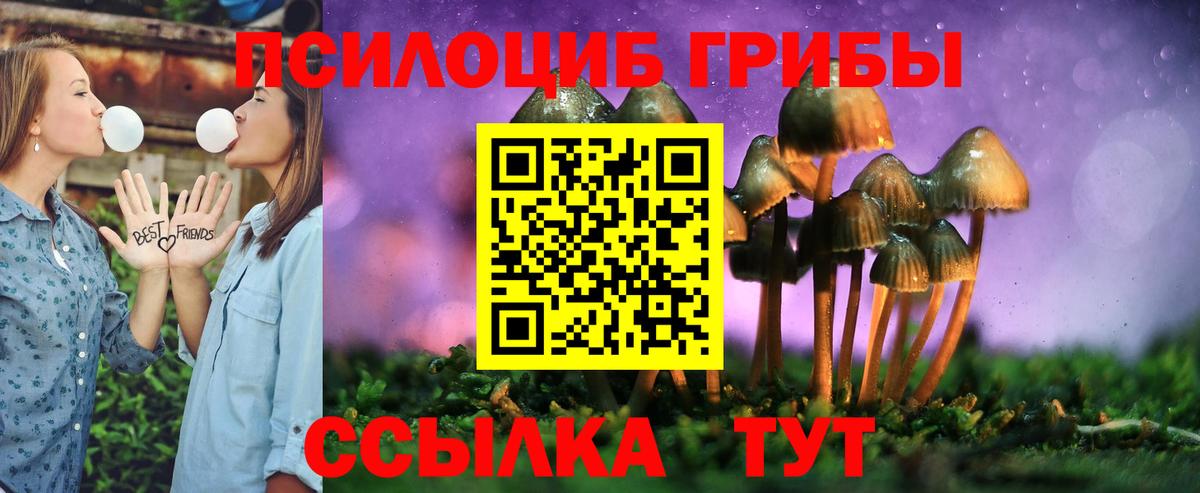 Псилоцибиновые грибы MAGIC MUSHROOMS Севастополь